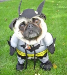 Bat Man